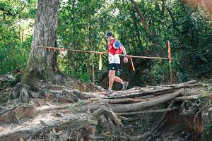 BIB: 
                            <button type="button" onclick="openModal(27747789)" class="btn btn-primary btn-sm float-right btn-popup" data-toggle="modal" data-target=".modal-high-quality">
                        <i class="fas fa-shopping-cart"></i> Add to Cart
                    </button>
                                            <button type="button" onclick="isThisMe(27747789, true)" class="btn btn-success btn-sm float-right btn-popup btn-isme hidden" data-toggle="tooltip" data-placement="bottom" title="นี่คือรูปของคุณใช่ไหม คลิกที่นี่เพื่อเอาเข้าอัลบั้ม">
                        <i class="fas fa-plus"></i> Add to album
                    </button>
                    <button type="button" onclick="isThisMe(27747789, false)" class="btn btn-warning btn-sm float-right btn-popup btn-isnotme hidden">
                        <i class="fas fa-ban"></i> Remove from album
                    </button>